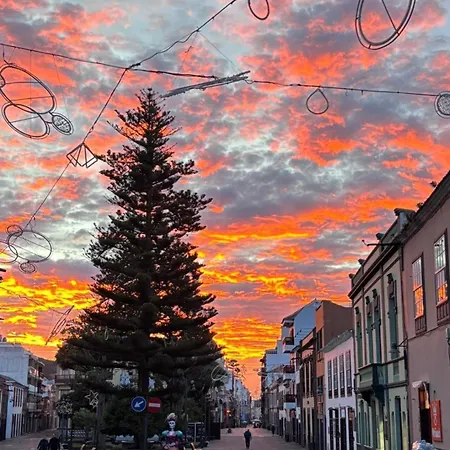 La Casita De Omar En El Corazon Del *