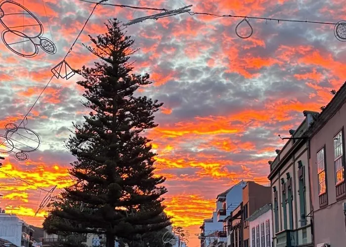 La Casita De Omar En El Corazon Del *